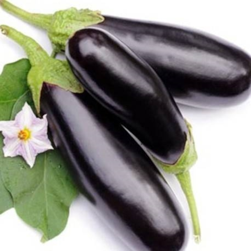 Aubergene.png Main image