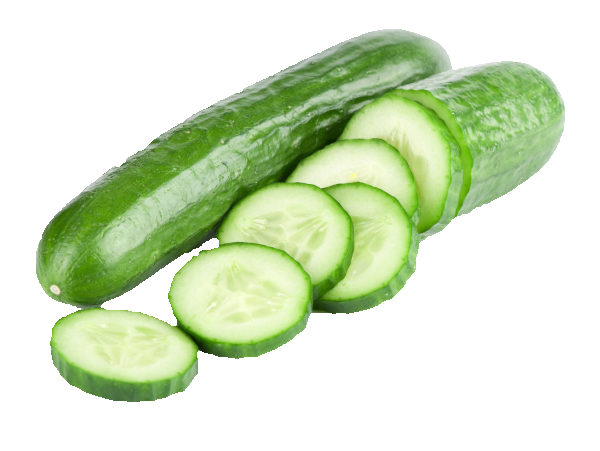Cucumber clip art image