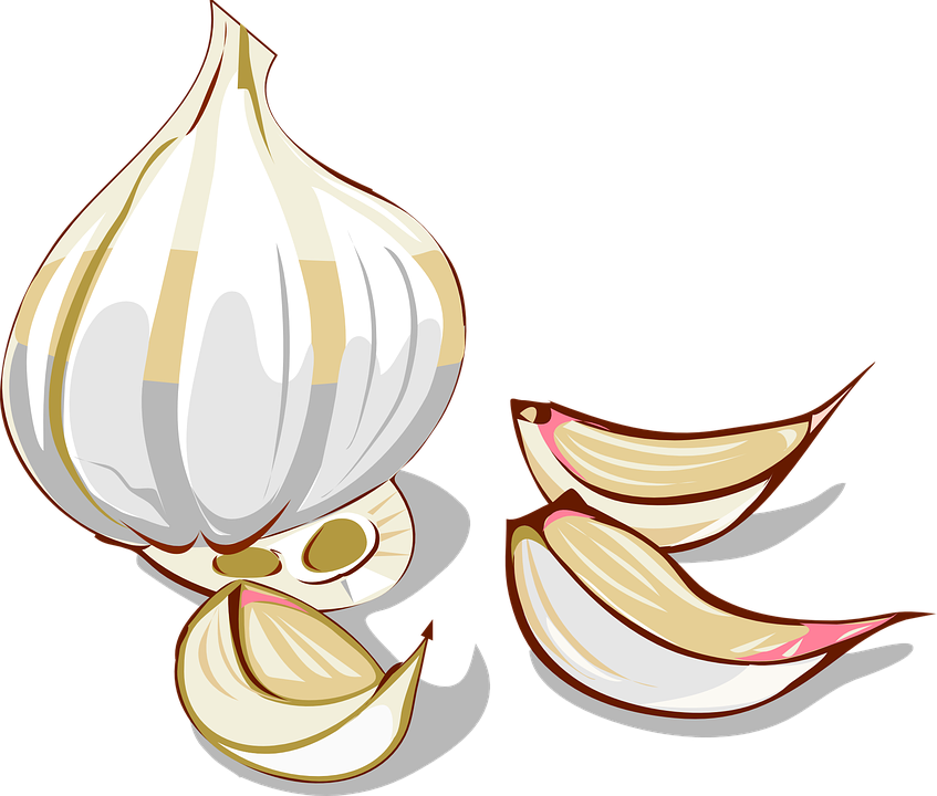 Garlic Image